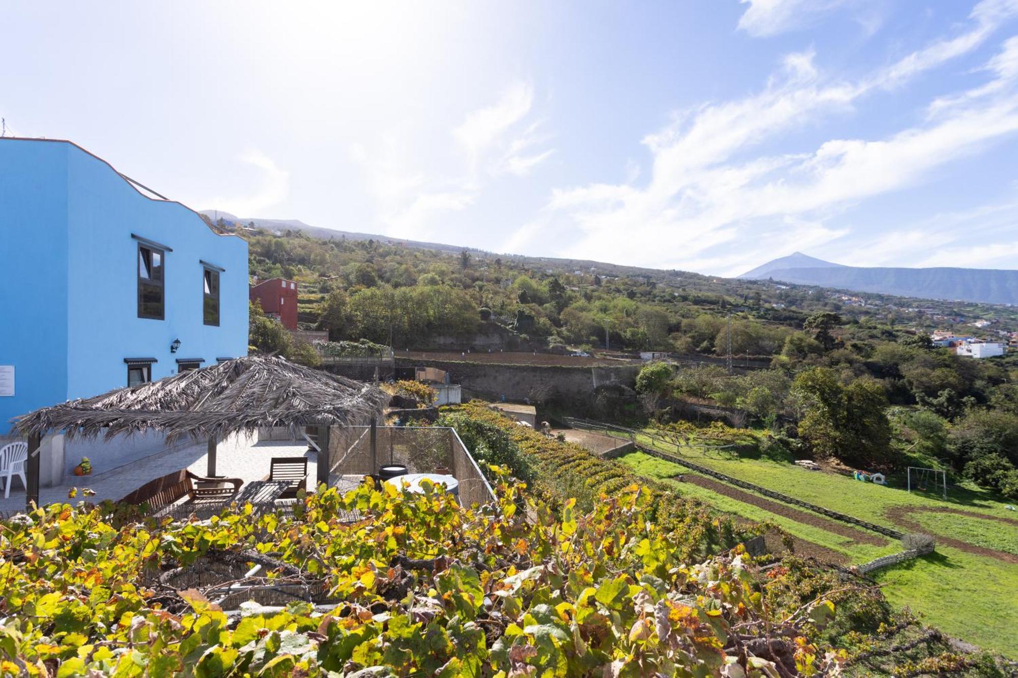 Ek Drago Finca El Milagro La Orotava Esterno foto