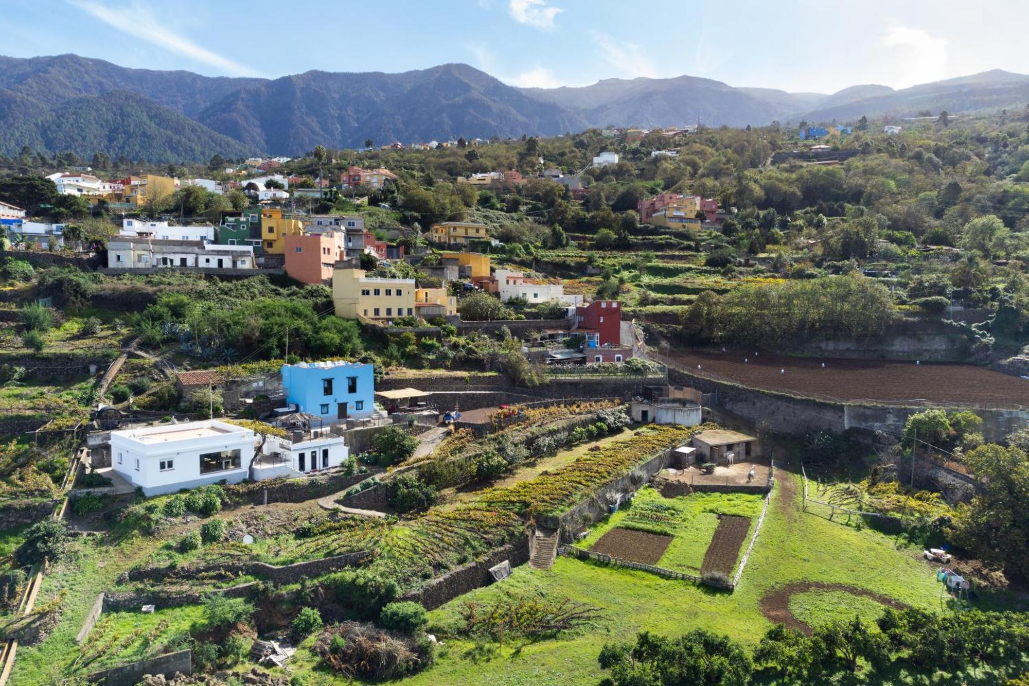 Ek Drago Finca El Milagro La Orotava Esterno foto