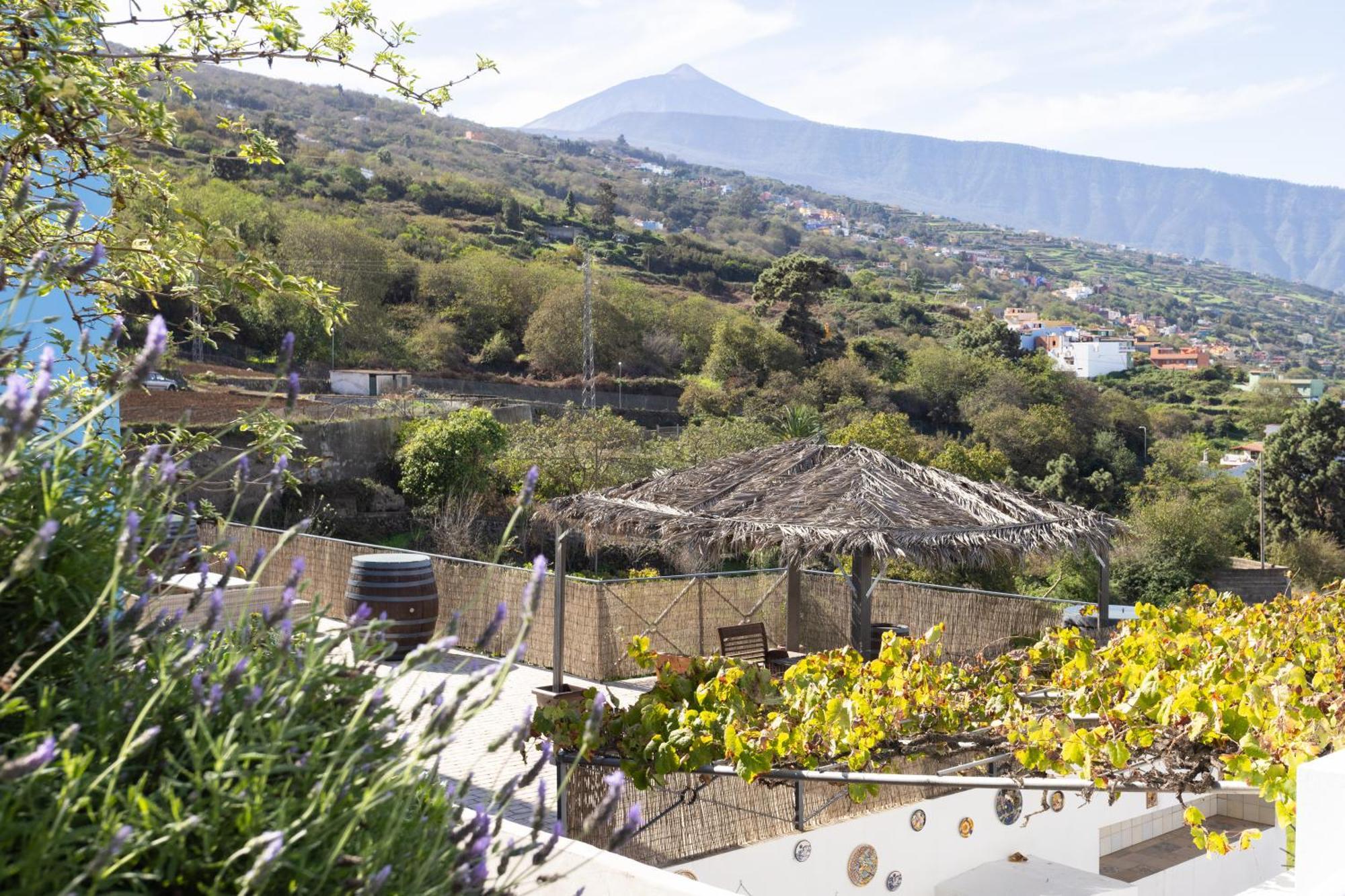 Ek Drago Finca El Milagro La Orotava Esterno foto