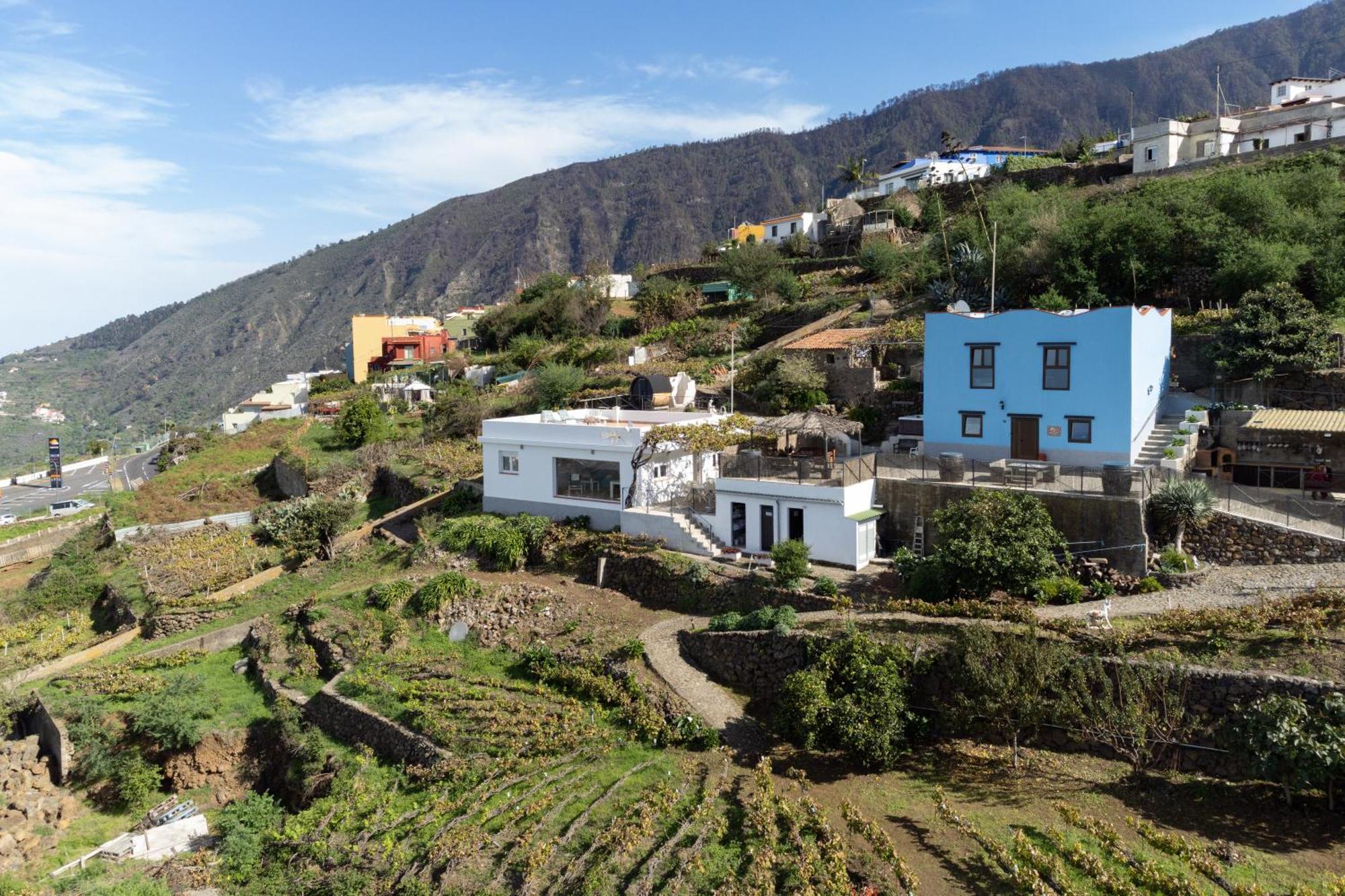 Ek Drago Finca El Milagro La Orotava Esterno foto