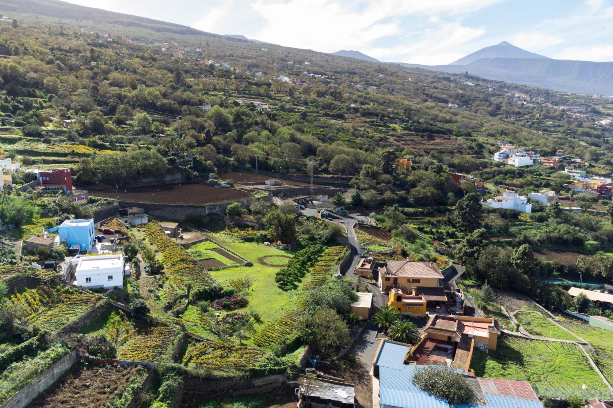 Ek Drago Finca El Milagro La Orotava Esterno foto