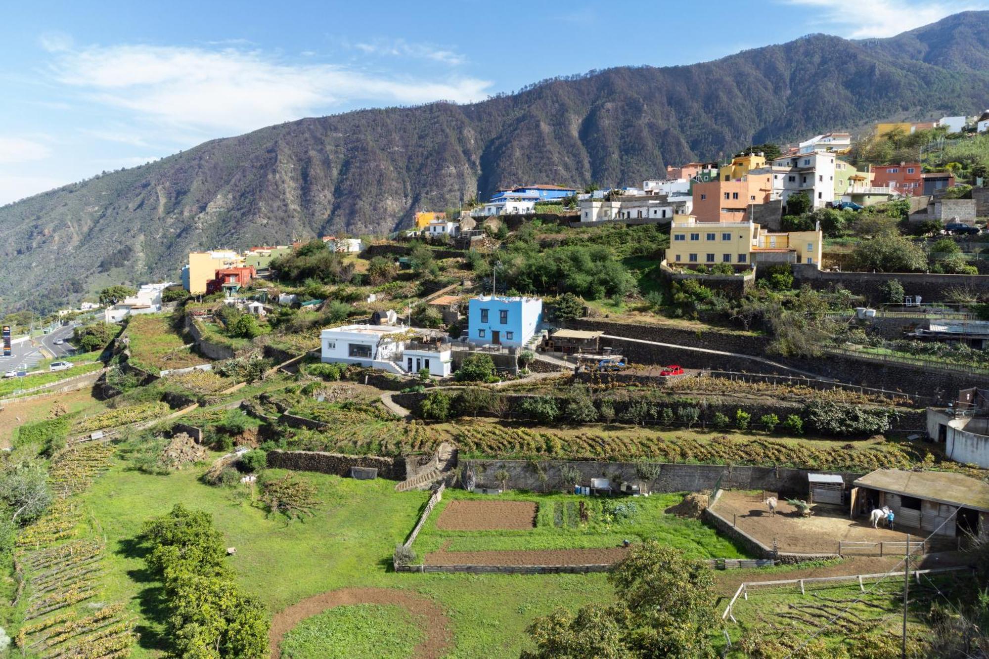 Ek Drago Finca El Milagro La Orotava Esterno foto